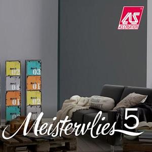 Meistervlies 5