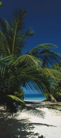 Komar 2-1061 (на дверьTo the Beach)