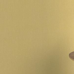 Barbara Home 2 XL (2021)