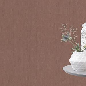 Barbara Home 2 XL (2021)