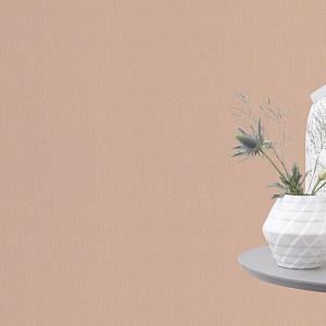 Barbara Home 2 XL (2021)